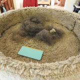 Petluro™ Ultra Hair Cleaning Kit