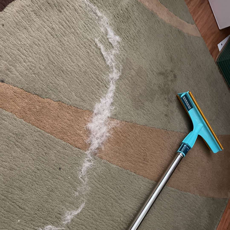 Petluro™ Ultra Hair Cleaning Kit