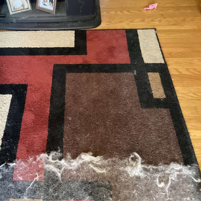 Petluro™ Ultra Hair Cleaning Kit